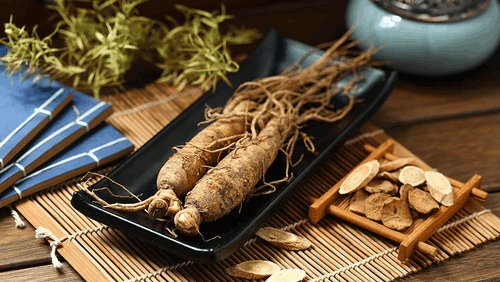 Panax Ginseng